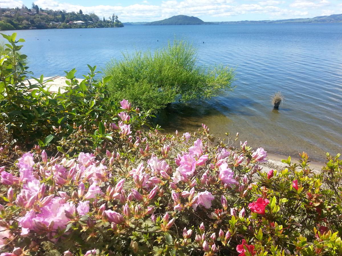 Koutu Beach Bed&Breakfast Rotorua Exterior foto